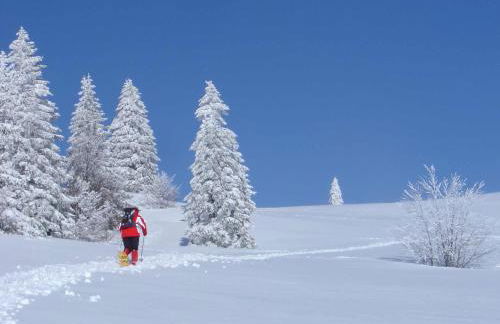 FEWO 2 Panoramablick - NEU incl 3-WeltenCard mit 140 kostenlosen Attraktionen - Foto 47
