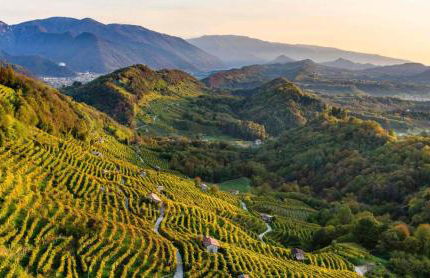 Appartamento al Sole - Foto 22