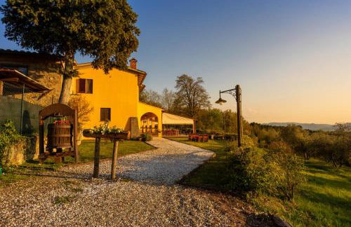 Tenuta Risalpiano - Foto 12