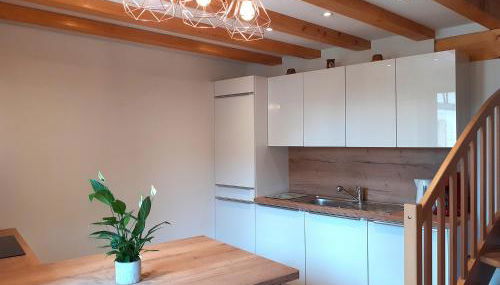 Coup de cœur en Alsace ! Idéal visites, randonnées au Gîte de la Muse, proche Colmar - Foto 2, stove