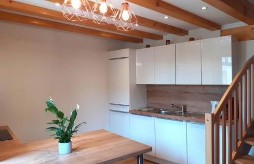 Coup de cœur en Alsace ! Idéal visites, randonnées au Gîte de la Muse, proche Colmar - Foto 2