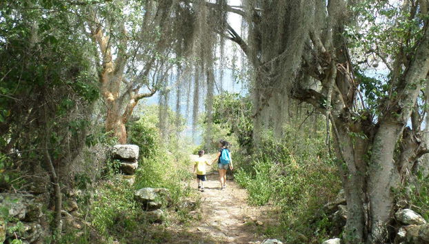 Hiking Tour: Camino Real to Guane - Foto 2
