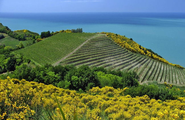 Apartment in Gabicce Mare for 6 Person - Foto 16