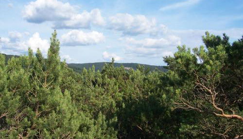 Ferienwohnung am Pfaffenfels - Foto 2