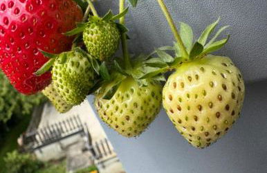 Ferienwohnung in Winterlingen - Foto 29