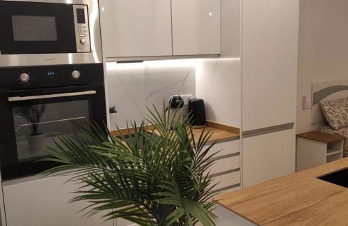 AV. Asturias Apartamento - Foto 17