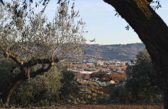 Casa Oliveto - Foto 36