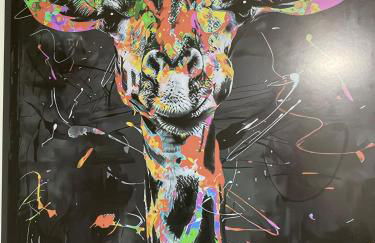 Apartamento completo Bauru Check-in 14h checkout 12h Proibido fumar - Photo 16