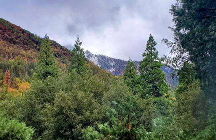 Redwood Retreat, Mountains, Adventure and Nature - Foto 28