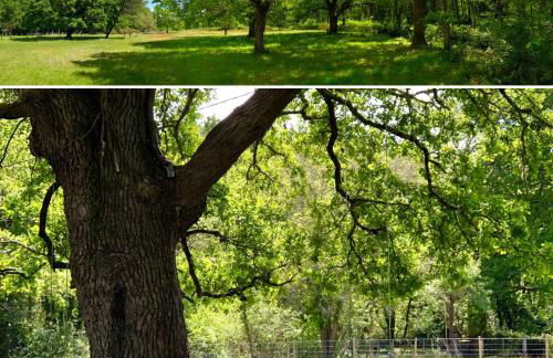 LES VACANCES AUX CERCINS - Foto 33