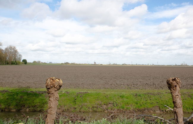 Holiday Home in Zevenhuizen With Sauna - Foto 32