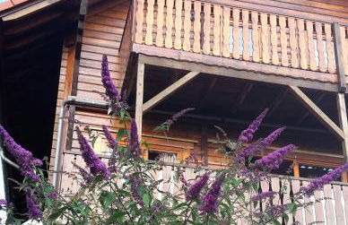 Ferienhaus Berg.erleben - Foto 6