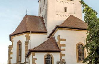 Unter den Reben - Foto 28