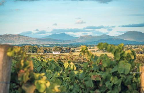 Golygfa Hudol - Uk46712 - Photo 19