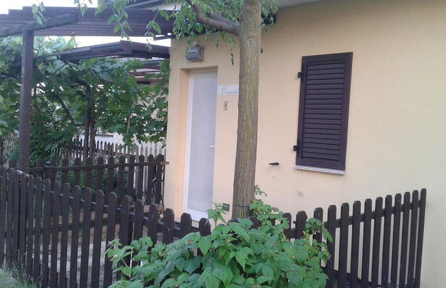 Fattoria Belvedere - Photo 24