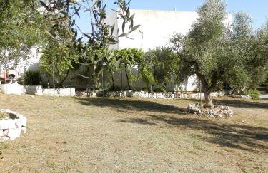 Aeolos Hotel Apartments - Foto 42