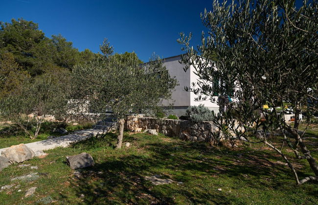 Olive Eden - Foto 39