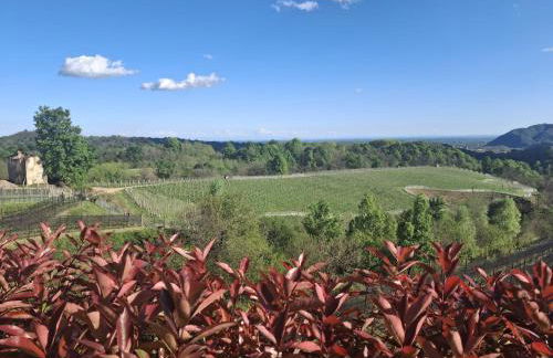 Alle porte del Monterosa - Foto 7