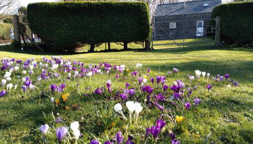 Ty r Pwmp - Foto 5, Garden