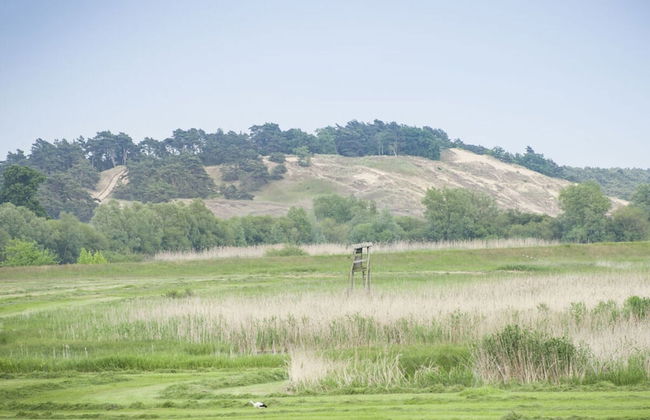 Elbwiesenhaus Modern Retreat - Foto 12