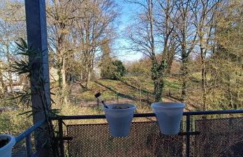 Appartements an der Kaiserpfalz - Königshof - Photo 44