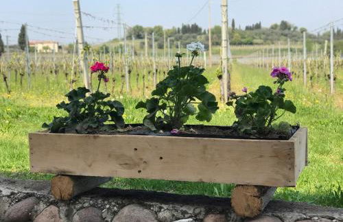 La Grotta - Photo 35