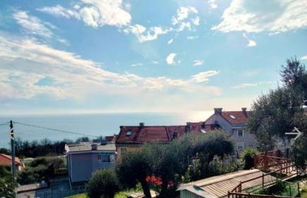 Red Squirrels - Foto 8