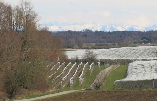 Ferienwohnung Haag - Foto 7