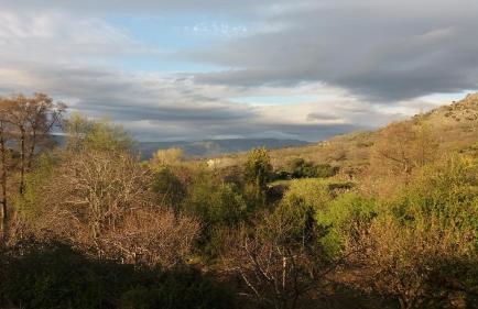 El Naranjo - Foto 20