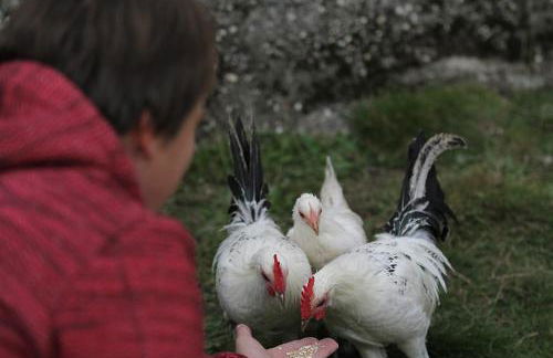 Huber Xaveri - Hof - Foto 37