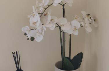 Virginia's guest room - Foto 18