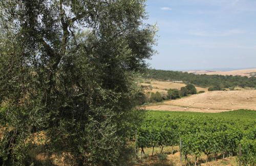 Agriturismo Bagnaia - Foto 32