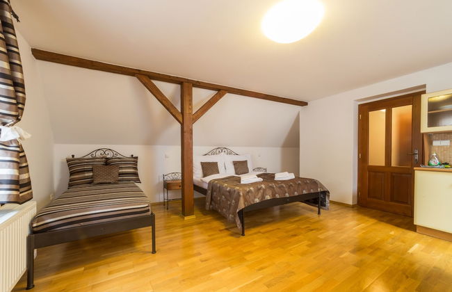 Vila Krumlov - Foto 46