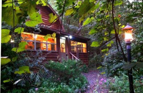 Woodhaven, darling romantic cabin, ATV trails, Mena, AR - Foto 34