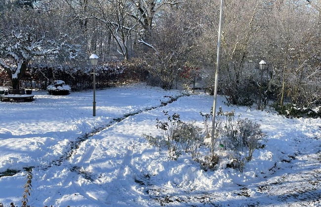 Landhaus Gutmussen 2 A - Foto 13