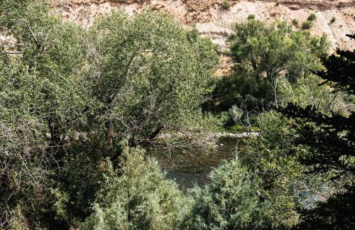 Explore Relax Repeat - Riverside Views - Eagle - Foto 20