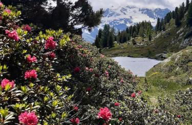 Appartamento Baita Gavel - Foto 32