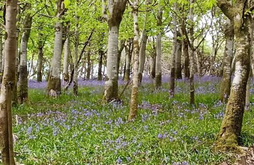 The old hayloft on 22 acre country smallholding - Foto 49