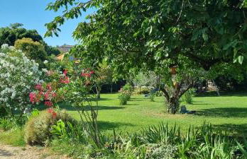 L'Olivier Chez Mamé Marthe - Foto 9