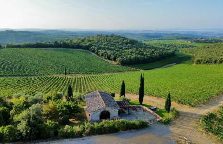 RICASOLI, Capanna di Citerna - Foto 2