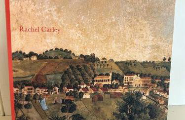 The 1782 Darling House on the Litchfield Green - Foto 21