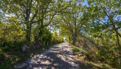 Baglio Saccù apartment & spa - Foto 3