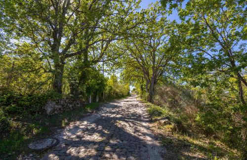 Baglio Saccù apartment & spa - Foto 3