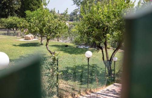 The Red Bougainvillea Apartments - Foto 75