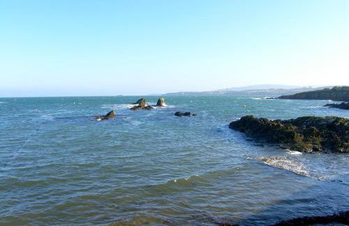 Bay Lodge - Photo 34