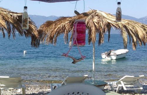 Villa Nantia - Photo 26