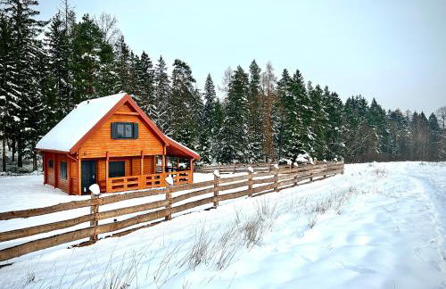 Okno na las - Foto 52