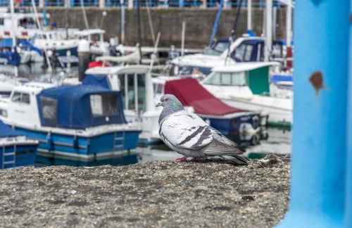 Marina View - 3 Bedroom Apartment - Milford Marina - Foto 23