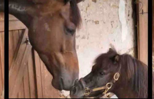 Lux Home 5 min to Train and Airport - Foto 56