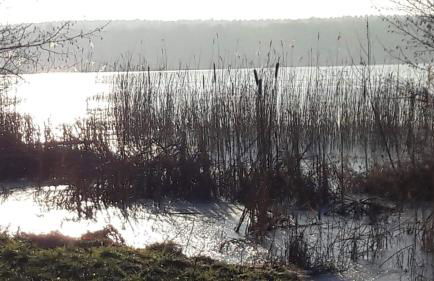 Ferienhaus am Birkenwaeldchen - Motzener See 150m - Foto 57